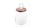 Hello Honey® 15" Round Clear Glass Jar with Lid